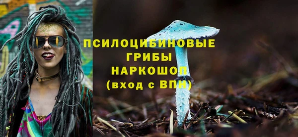 дмт Алексеевка