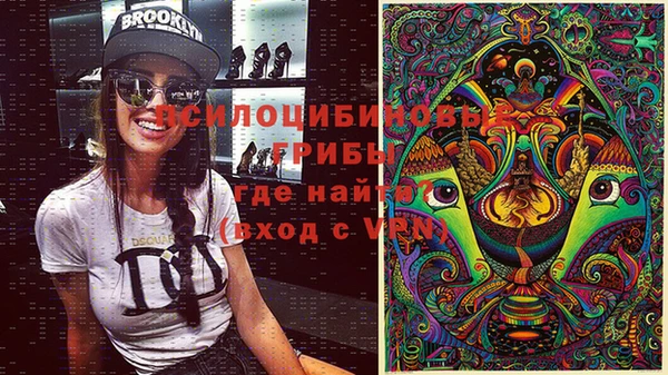 мдпв Алексин